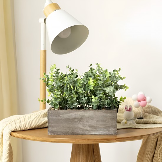 Plants Wooden Pots 